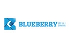 Blueberry Consulting & Trade Sal Offshore Logo (antelias, Lebanon)