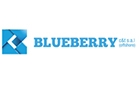 Blueberry Consulting & Trade Sarl Logo (antelias, Lebanon)