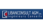 Companies in Lebanon: Libanconsult Agm Sal