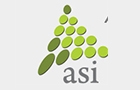 Advantage Systems International ASI International Logo (hadeth, Lebanon)