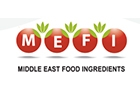 Middle East Food Ingredients Sal Offshore Logo (hamra, Lebanon)