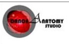 Dance Anatomy Logo (jal el dib, Lebanon)