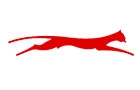 Tracksparco Bachaalany & Co Logo (jdeideh, Lebanon)