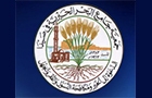 The Sea Mosque Charitable Association Logo (saida, Lebanon)